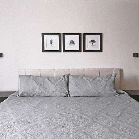 Suites Ciento 37 레온 외부 사진